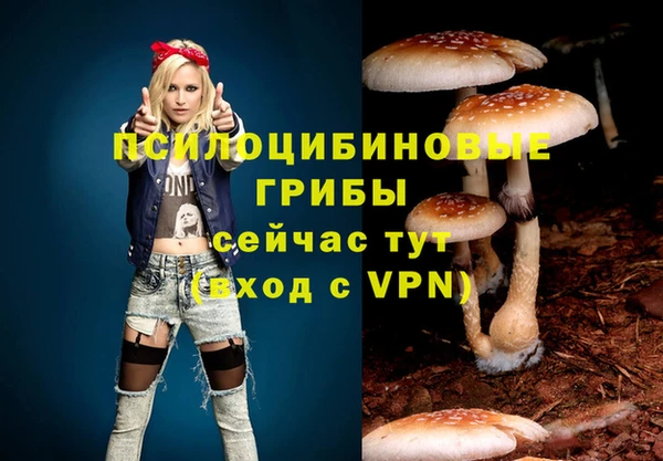 гашик Алзамай