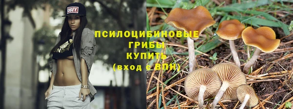 гашик Алзамай